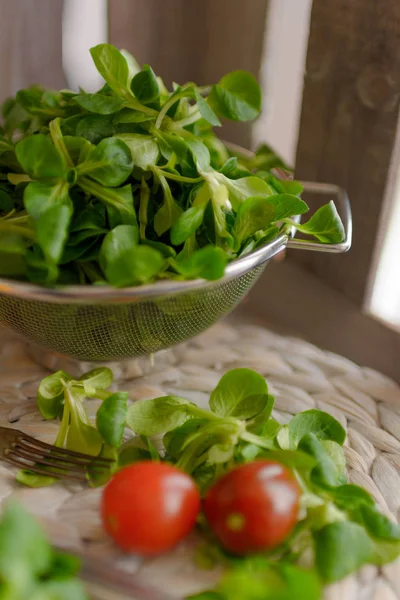 Salada Milho Fresco Tomate Pimentão — Fotografia de Stock