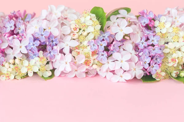 lilac flowers garland above empty space for text on pink background