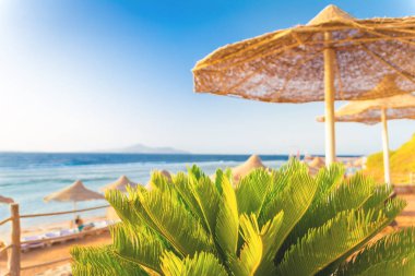 Saman şemsiye ve deniz hattı ile Kumlu plaj sandalyesi