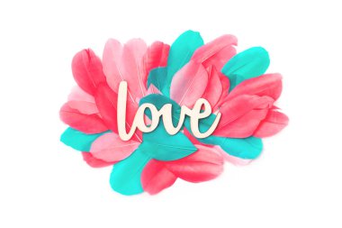 Renkli tüyleri ile yaratıcı kalp, düz yatıyordu