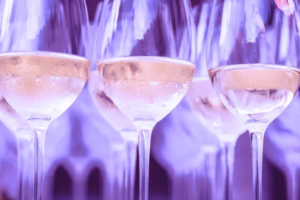 Rows of cold white or rose wine in purple light