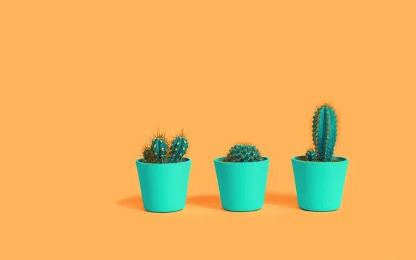 Tres cactus sobre fondo naranja terracota pastel en macetas de menta —  Fotos de Stock