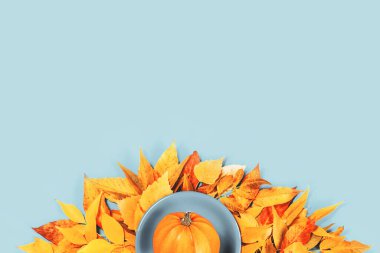 Mavi tabakta olgun bir balkabağı ve parlak turuncu ve sarı sonbahar yaprakları düzleşir. Şükran Günü, sonbahar hasat zamanı ya da kopyalama alanı olan Cadılar Bayramı konsepti.