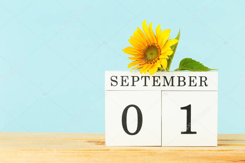 Wooden calendar on table. 1 September and a yellow sunflower flower on wooden table, copy space. Hello autumn or fall concept