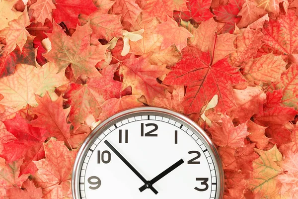 Prosté nástěnné hodiny uprostřed na červené podzimní listí — Stock fotografie