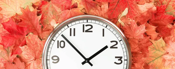 秋のオレンジ色の葉と秋の葉の中央に平らな壁の時計 ２時だ コピースペース時間管理学校に戻る ランチタイムだ 営業時間 昼間の時間帯のバナー — ストック写真