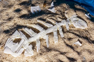 Kumun dibindeki plastik balık.