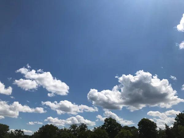 Pörröiset Valkoiset Pilvet Aurinkoisella Sinisellä Taivaalla Puiden Yläpuolella — kuvapankkivalokuva