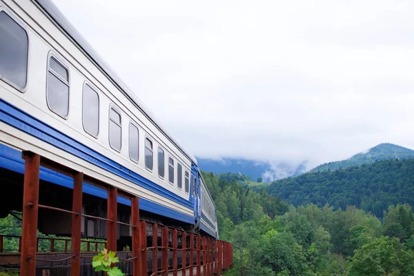 Moving train above the trees against the beautiful mountainous landscape in Yaremche, Ukraine with copy space. Travel concept.