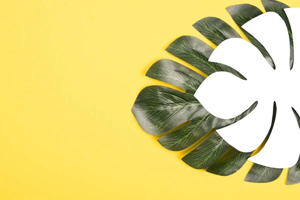 Schöne Künstliche Und Papier Monstera Palmenblätter Auf Leuchtend Gelbem Hintergrund — Stockfoto
