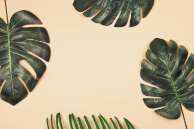 Üç güzel parlak yapay monstera palmiye yaprakları ve uçuk sarı arka plana üzerinde tropikal yaprak bir parçası. Zarif dekorasyon öğeleri. Metin için yer kopyalayın.