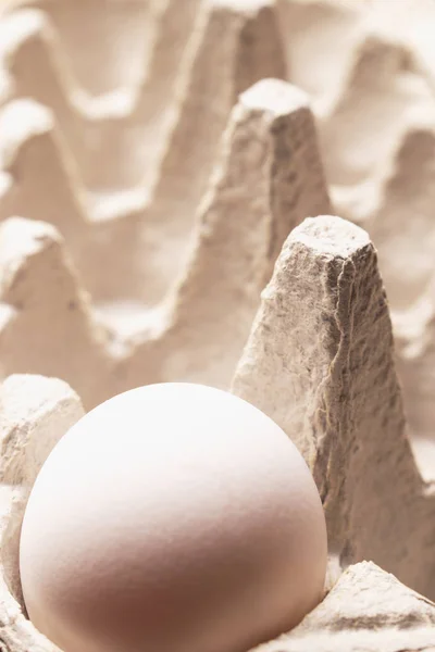 판지에서 1 개의 흰 계란. — 스톡 사진