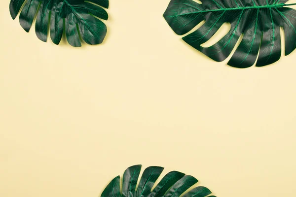 Monstera Blätter auf gelbem Pastell Hintergrund. — Stockfoto