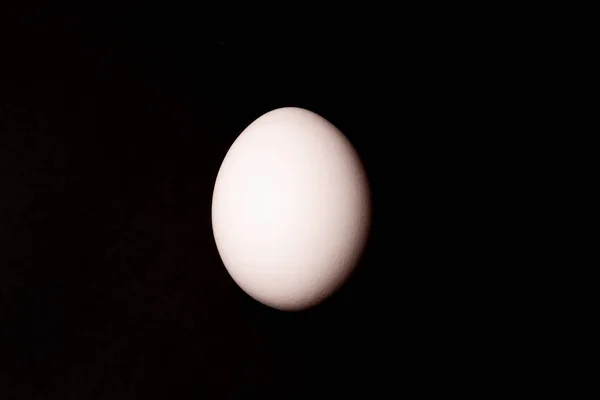 White egg on black background. — Stock Photo, Image