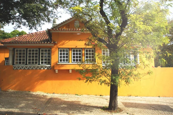 Casa amarilla y un árbol en rayos de sol . —  Fotos de Stock