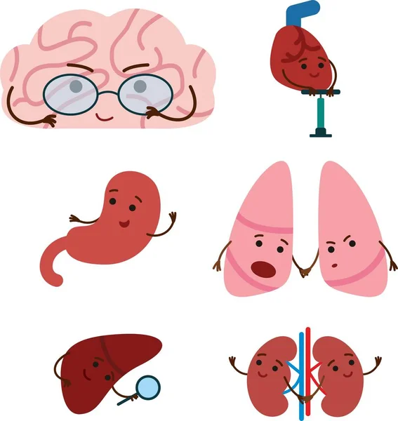 Niedlich Lächelnd Glücklich Menschliche Organe Setcute Lächelnd Fröhlich Menschliche Gesunde — Stockvektor