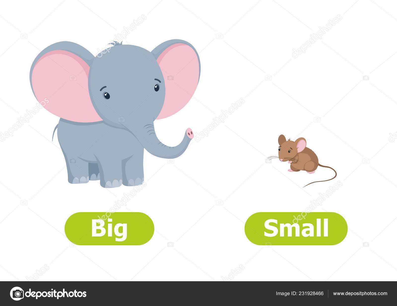 Vector Antonyms Opposites Big Small Cartoon Characters Illustration White  Background Stock Vector Image by ©nizovatina #231928466