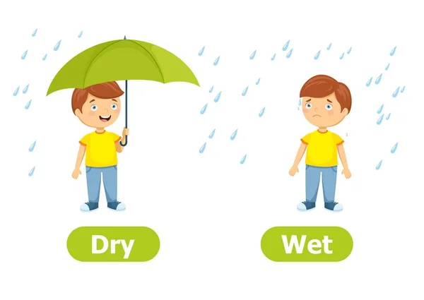 Vektorantonyme Und Gegensätze Trocken Und Nass Zeichentrickfiguren Illustration Auf Weißem — Stockvektor