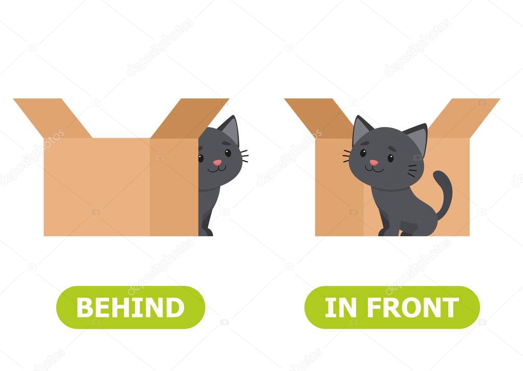 Cat is standing in front of the box and behind the box. Illustration of opposites in front and behind.  Card for teaching aid, for a foreign language learning. Vector illustration on white background.