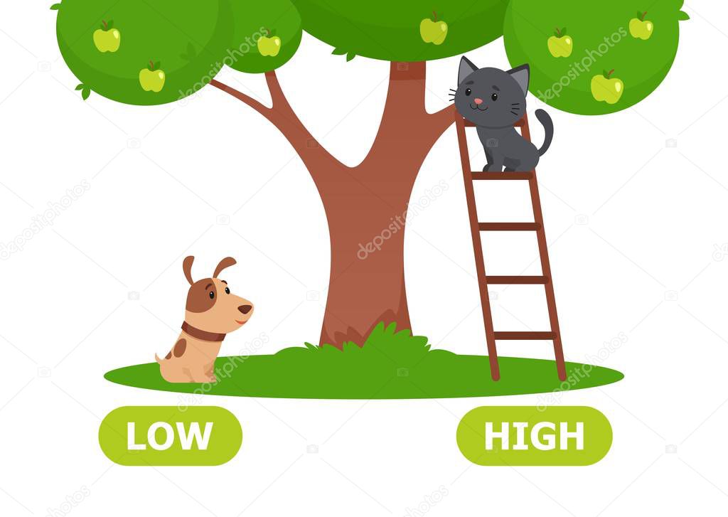 Illustration of the opposites of LOW and HIGH