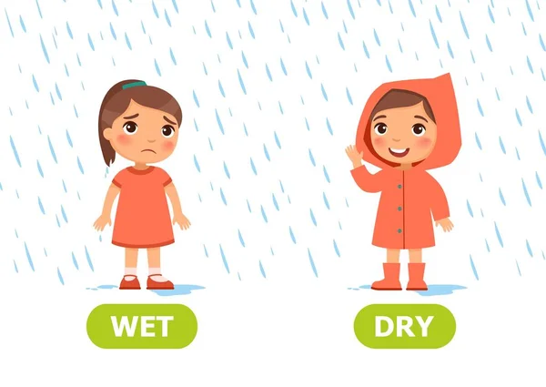 小女孩穿着雨衣 在雨中没有雨衣 对立面干湿的插图 培训辅助卡 外语学习用卡 白色背景的矢量插图 卡通风格 — 图库矢量图片