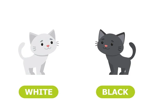 Gatito Blanco Negro Ilustración Opuestos Blanco Negro — Vector de stock