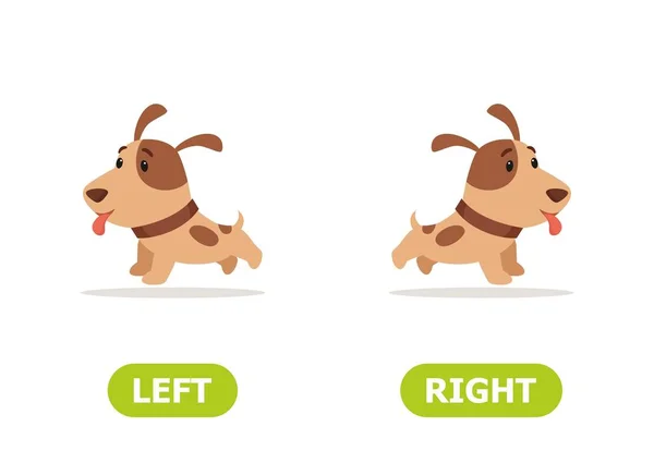 Ilustração Dos Opostos Esquerdo Direito Cão Corre Para Esquerda Direita —  Vetores de Stock