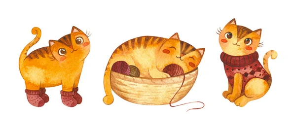 Strickwaren Für Katzen Aquarell Illustrationen Set Entzückendes Kätzchen Das Einem — Stockfoto
