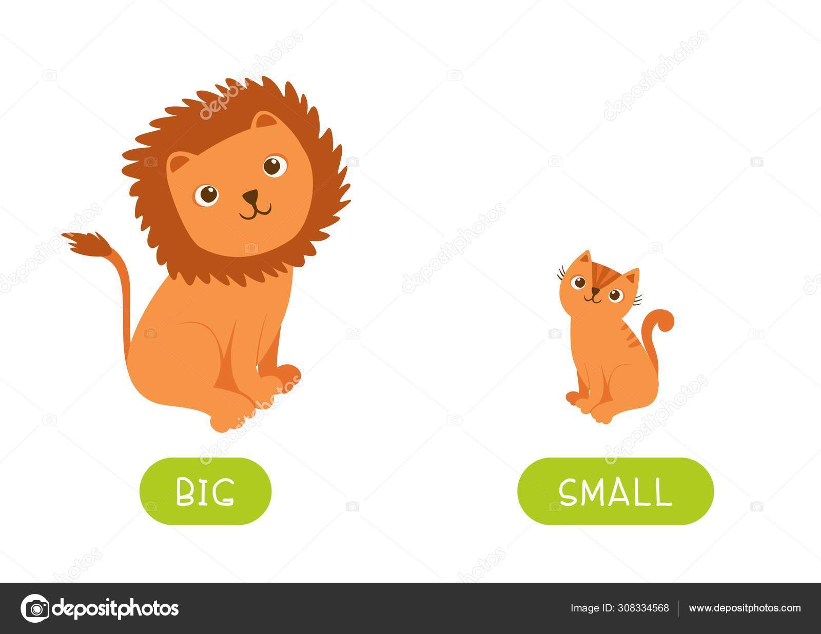 Opposite English Words Big Small Vector Stock Vector (Royalty Free