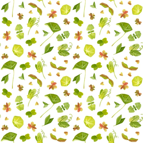 Frühling Garten Blätter Von Erbsen Oxalis Rüben Kapuzinerkresse Rettich Basilikum — Stockfoto