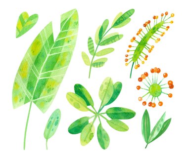 Tropikal yapraklar suluboya resimlerini karıştırır. Orman suluboya resimleri koleksiyonu. Beyaz arkaplanda çizgi film yeşil tırmanışlar.