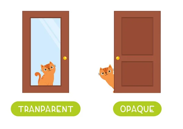 Concepto Opuesto Opaque Transparente Tarjeta Word Para Aprendizaje Idiomas Cute — Vector de stock