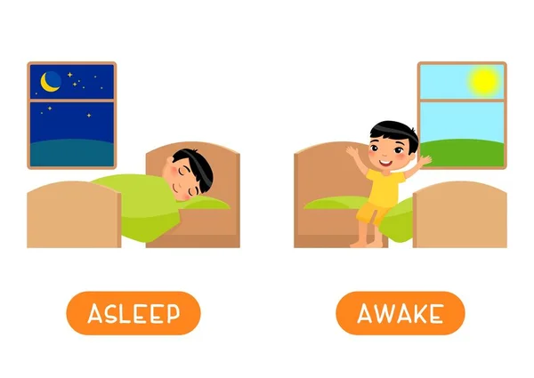 Antonyms Concept Asleep Awake Scheda Parola Educativa Con Opposti Scheda — Vettoriale Stock