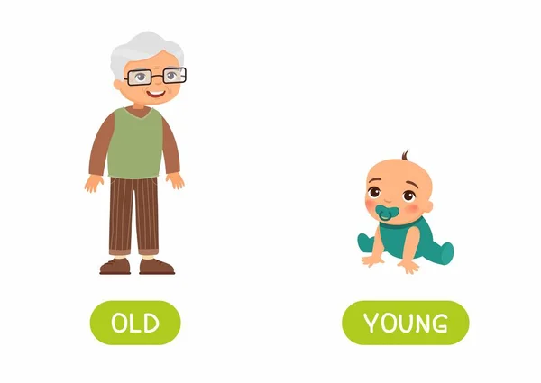 Concepção Oposta Old Young Cartão Palavra Para Aprendizagem Línguas Velho — Vetor de Stock