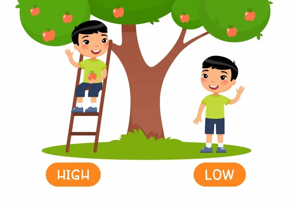 高且低的反义词词卡向量模板 相反的概念 学习英语的卡片 站在梯子上的男孩 用打字法从树形图上摘苹果 — 图库矢量图片