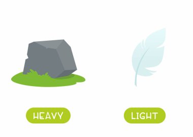 Antonyms konsepti, Heavy ve Light. Taş ve tüy kalıplı eğitici hafıza kartı. Karşıt dillerde İngilizce öğrenmek için kelime kartı. Typography ile düz vektör illüstrasyonu