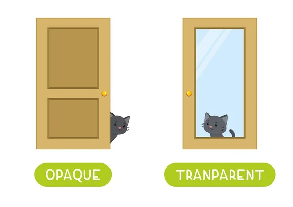 Concepto Opuesto Opaque Transparente Tarjeta Word Para Aprendizaje Idiomas Lindo — Vector de stock