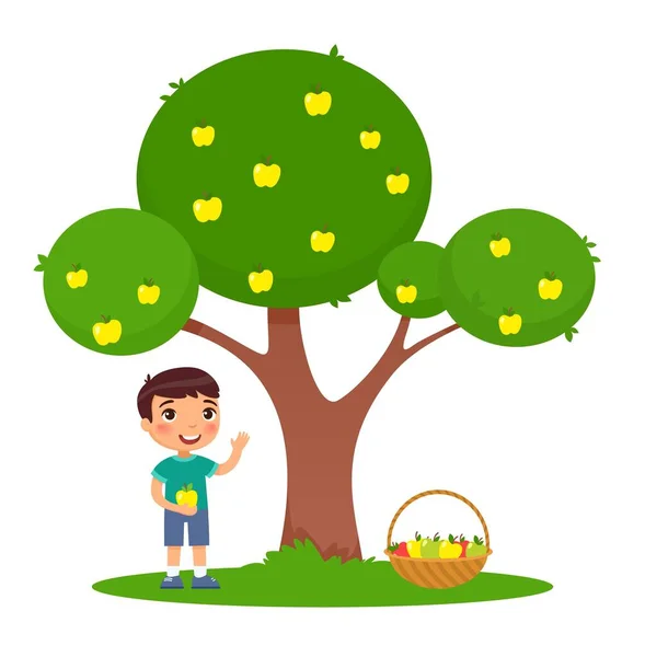 Niño Recogiendo Manzanas Ilustración Vector Plano Niño Adorable Pie Bajo — Vector de stock