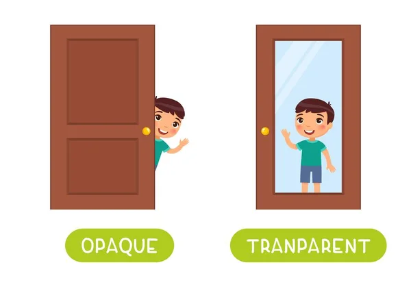 Concepto Opuesto Opaque Transparente Tarjeta Word Para Aprendizaje Idiomas Niño — Vector de stock