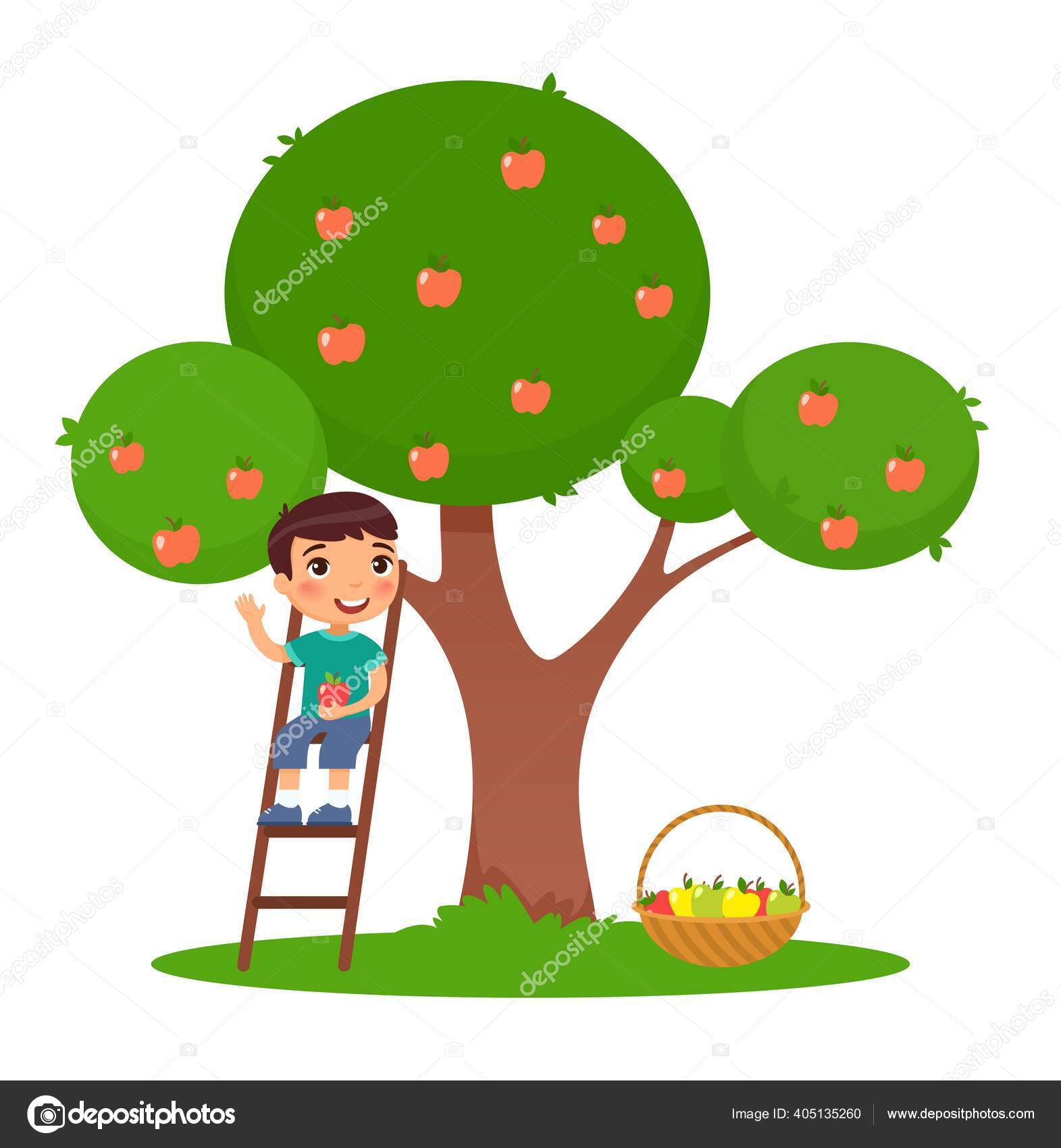 Anak Kecil Memetik Apel Gambar Vektor Datar Anak Manis Tangga Stok Vektor Nizovatina 405135260
