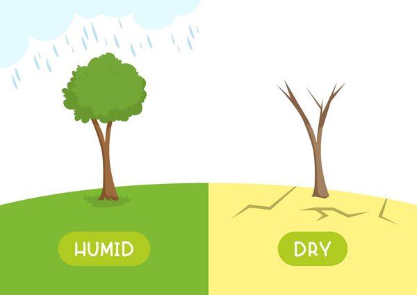 Humid and dry antonyms word card vector template. Opposites concept. Flashcard for english language learning. The tree is pouring rain, the plant is withered in the desert
