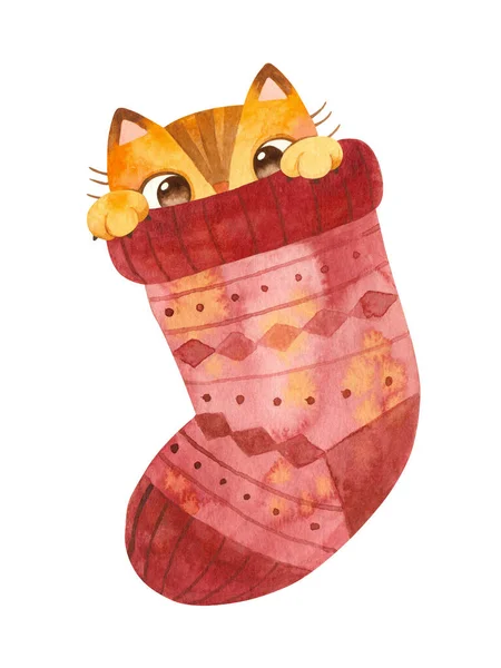 Cat hiding in woolen sock. Cute playful kitten Christmas character. Mascot of goods for pets . Winter postcard. Watercolor hand drawn illustration.