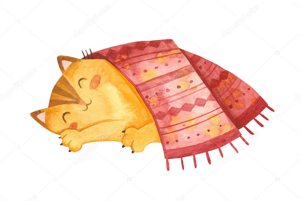Cat sleeps under a knitted blanket. Cute kitten character.Winter postcard.  Mascot of Goods for pets. Watercolor hand drawn illustration.