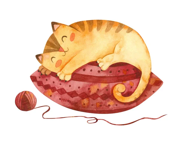 Entzückendes Kätzchen Das Auf Kissen Schläft Niedliche Kätzchen Charakter Winterpostkarte — Stockfoto