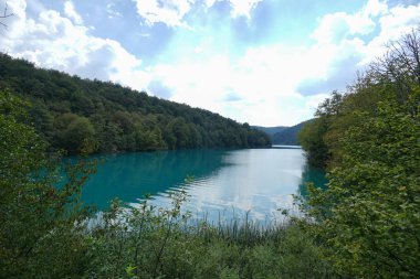 Orman arasında mavi göl