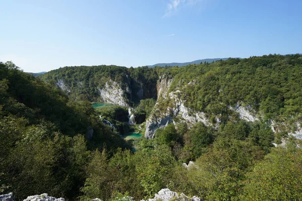 Tepeler ve orman her yerdeler 