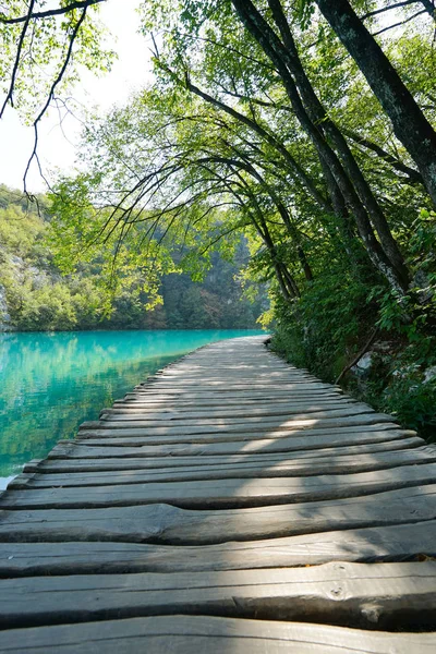Avrupa'nın kalbinde güzel ahşap yol
