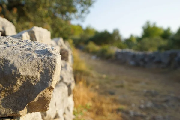 Bir kaldırım taşı