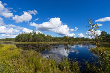 Renkli yaz tatil park arka plan mavi gökyüzü ve kopya alanı suyla yansıtan keskin bulutlar altında yeşil çim ile