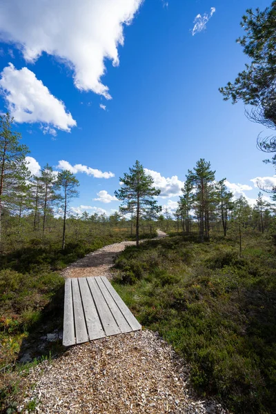 Renkli yaz tatil park arka plan mavi gökyüzü ve kopya alanı ile ahşap köprü ile keskin bulutlar altında yeşil çim ile
